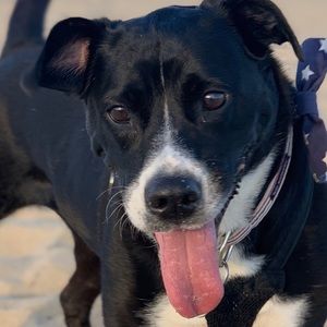 Meet your Posher, Clint